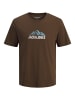 JACK & JONES PLUS T-shirt in Cocoa