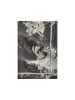 Marc O'Polo Foulard in Dark Grey