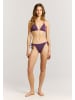 Protest " PRTLayo in Jelly Purple