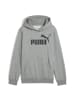 Puma Sweatshirt in bunt