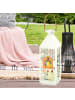 Mr. & Mrs. Panda Deko Laterne Vogelhaus Home ohne Spruch in Transparent