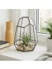 relaxdays Pflanzenterrarium "geometrisch" in Schwarz - (B)17 x (H)25 x (T)15 cm