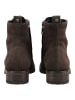 Paul Green Stiefelette in Mocca