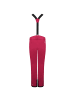 Dare 2b Snowboardhose Diminish in Beetroot