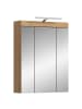 ebuy24 Spiegelschrank Scout (2-teilig) Staubgrün 60 x 18 cm