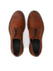 Kazar Schnürschuhe in Braun