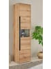 Furn.Design Vitrine Eiche Evoke 50 x 197 cm, Vitrinenschrank 3-türig mit 5 Fächern