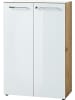 KADIMA DESIGN Aktenschrank Glasfront Soft-Close Abschließbar, Büro in Chalet-Eiche-Nb.-Weiß