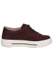 Caprice Sneaker in BORDEAUX SUEDE