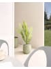 Beliani Outdoor Blumentopf LIVADIA in Grün - (W) 27 x (H) 32 x (L) 27 cm