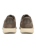 Geox Sneaker in Taupe