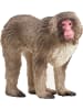Schleich Japanmakak in Mehrfarbig ab 3 Jahre