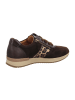 Gabor Sneaker Low in Braun