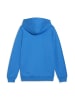 Puma Sweatshirt teamGOAL Casuals Hooded Jacket Jr  in blau