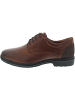 Josef Seibel Alastair 01 Business Schuh Braun