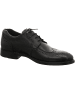 LLOYD Business Schnürschuh in schwarz