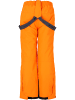Whistler Skihose W-Pro 10.000 in 5128 Turmeric