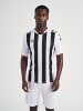 Hummel Trikot S/S Hmlcore Xk Striped Jersey S/S in WHITE/BLACK