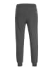 Jack & Jones Jogginghose JJIGORDON JJSHARK SWEAT PANTS VIY regular/straight in Grau