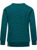 ragwear Sweater Darinka Zig Zag in Lagoon Green