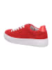 Gabor Comfort Damen- Schnürschuhe  in Rot