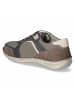 Josef Seibel Halbschuhe NEW ANVERS in grau