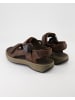 Clarks Sandalen in Braun