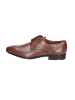 LLOYD Business Schnürschuh in braun