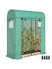 Outsunny Gewächshaus 170L x 68B x 200H cm Grün