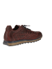 Cetti Sneaker low C-848 INV27 in Rot