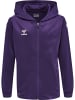 Hummel Reißverschluss Kapuzenpullover Hmlcore Kinder in ACAI/WHITE