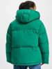 Tommy Hilfiger Puffer-Jacken in green malachite