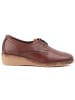 Purapiel Schnürschuhe Keilabsatz Anilav Brown in Braun