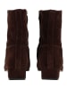 Steve Madden Stiefelette DUSTY in Chocolate