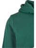 STARTER STARTER Herren Starter The Classic Logo Hoody in darkfreshgreen