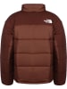 The North Face The North Face Winterjacken in dark oak