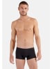 HOM Retro Short / Pant Modal clean cut in Schwarz
