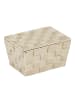 relaxdays 2 x Aufbewahrungskorb in Beige - (B)19,5x (H)10,5 x (T)14,5 cm