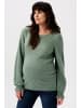 Noppies Pullovers Forli in Iceberg Green