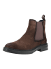 Steve Madden Stiefelette HATTON in Dunkelbraun