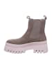 Tamaris Stiefelette in grau
