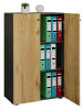 VCM  Büroschrank Bücher Ordner Aktenschrank Lona 3fach in Anthrazit / Honig-Eiche