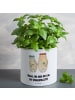 Mr. & Mrs. Panda Pflanzkübel Bären mit Blumenkranz mit Spruch in Weiß