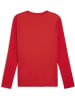 Puma Sportshirt "TeamGoal Longsleeve Jersey" in Rot