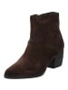 palado Stiefeletten in 3413 d brown