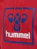 Hummel Hummel Kapuzenpullover Hmlisam Herren in BARBADOS CHERRY