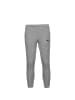 Puma Trainingshose TeamGOAL 23 Casuals in grau / hellgrau