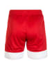 adidas Performance Funktionsshorts Tastigo 19 in rot / weiß