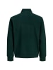JACK & JONES Junior Sweatshirt 'Soho' in grün