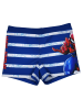 Spiderman Marvel Spiderman Badehose Schwimmhose Badekleidung Hose in blau/weiß